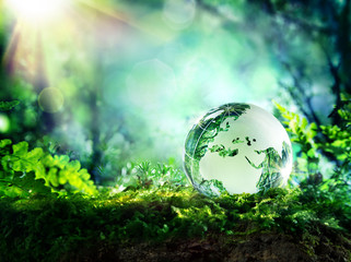 globe on moss in a forest - Europe - environment concept
