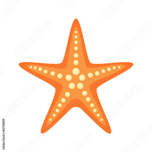 Sea star. 