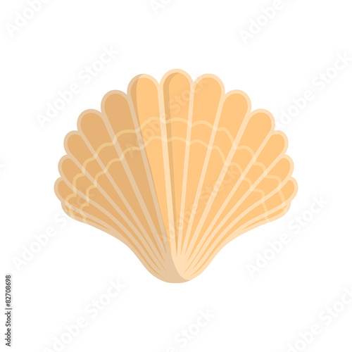 Sea shell. 