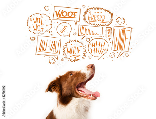 Fototapeta Naklejka Na Ścianę i Meble -  Cute dog with barking bubbles