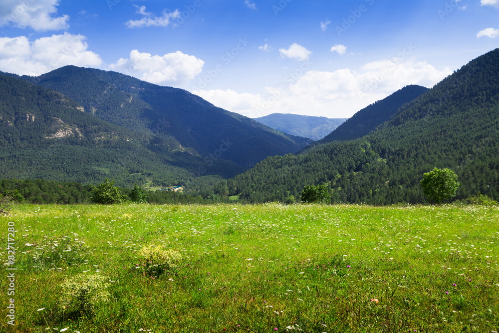 Simple landscape with mountain meadow