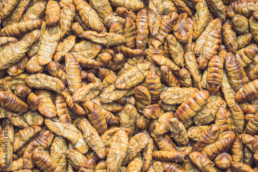 Silkworm pupae pattern for background used