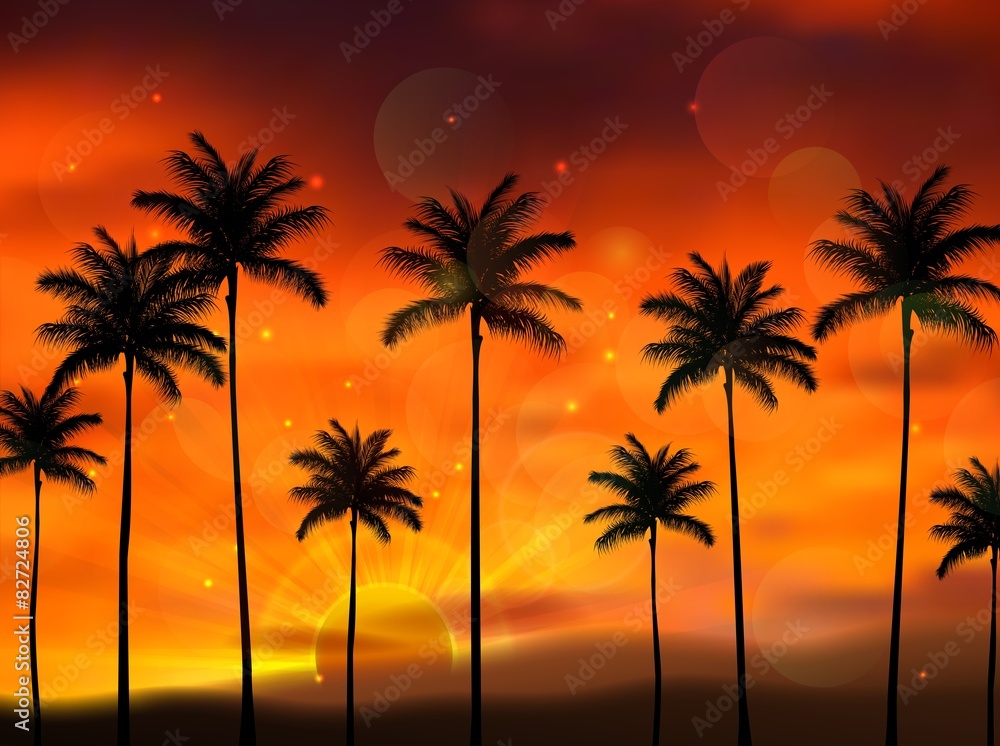 Silhouette of coconut tree when of sunset