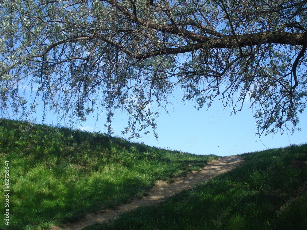 Hill top edge and osier branch on blue sky in spring Hill top edge and osier branch on blue sky in spring