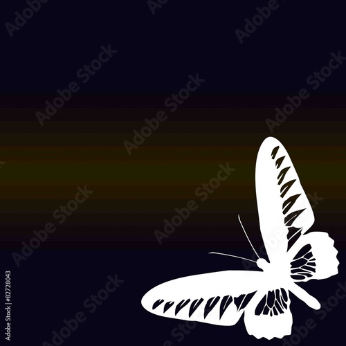 Papillon blanc tatouage