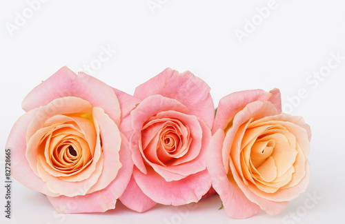 Fototapeta Naklejka Na Ścianę i Meble -  ピンクの３本のバラ