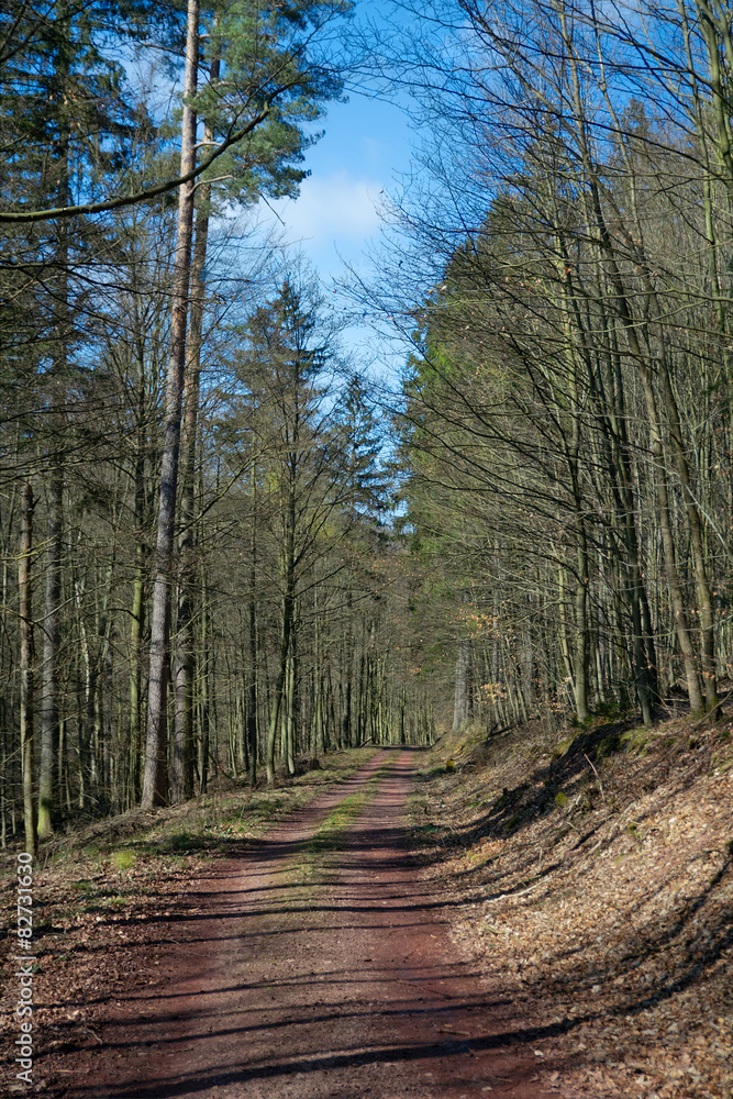 Thuringian Forest, Germany Thuringian Forest, Germany