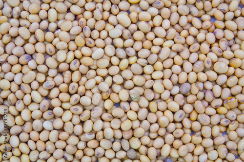 Dried soybean texture background