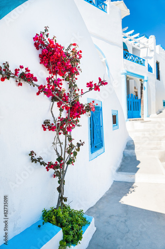 White architecture and flowers on the street