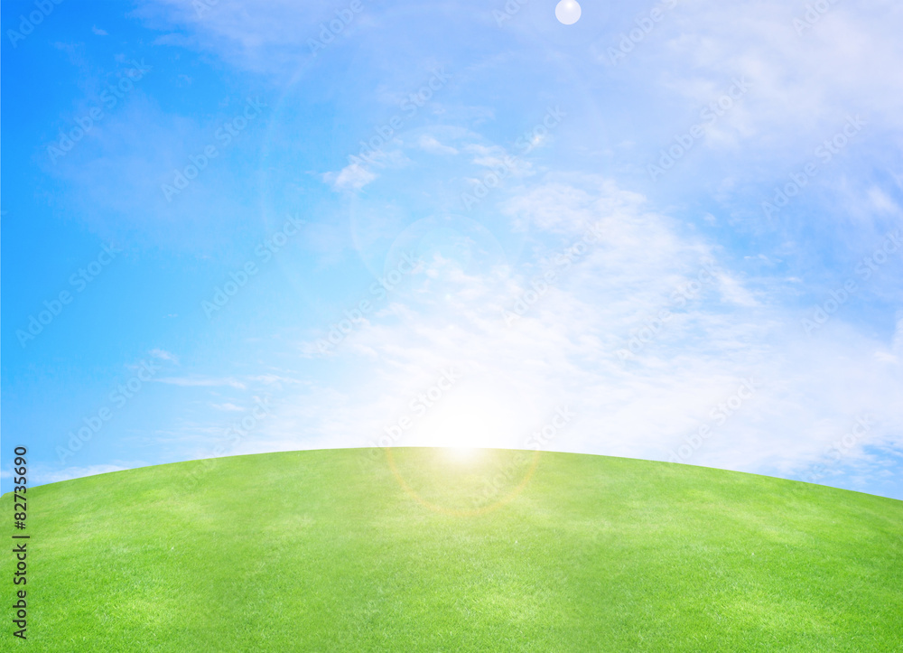 Fototapeta premium grass and sky