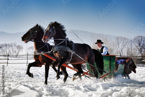 man with sledge pulled by horses