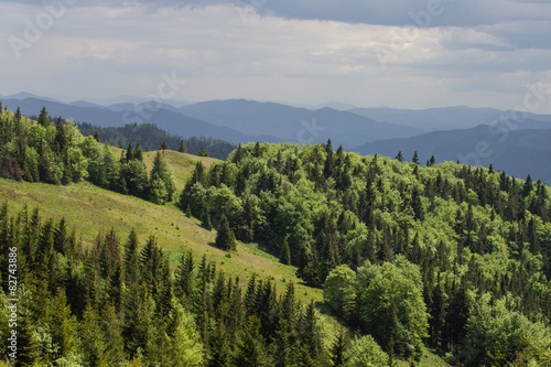 path in green summer mountains with white clouds blue sky