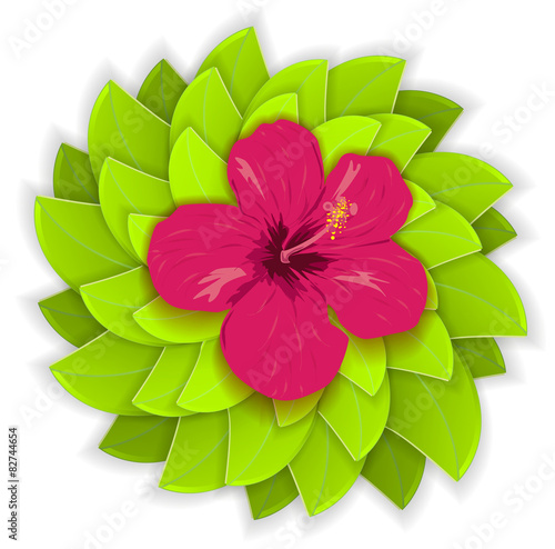 Tropical flower