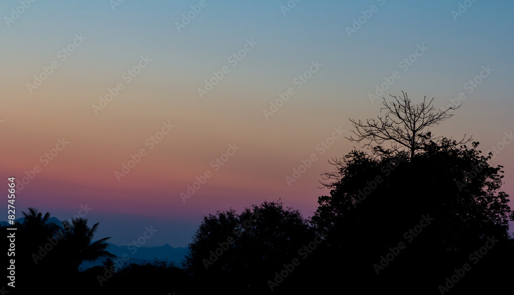 Evening sky Evening sky
