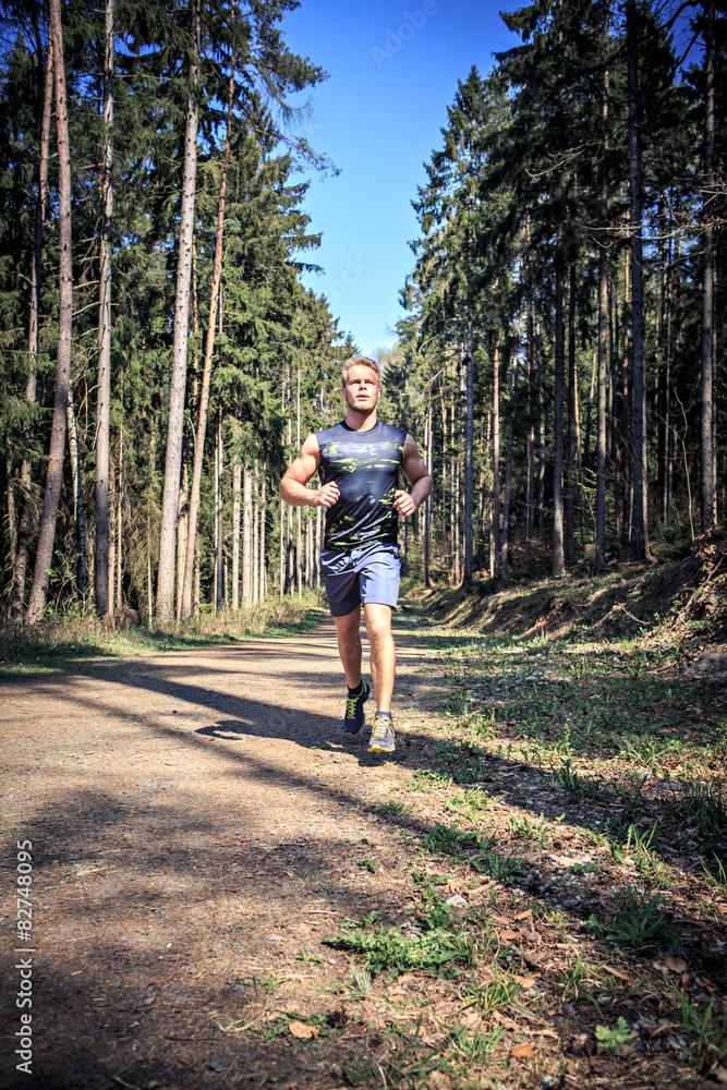 Obraz premium Fitness trail
