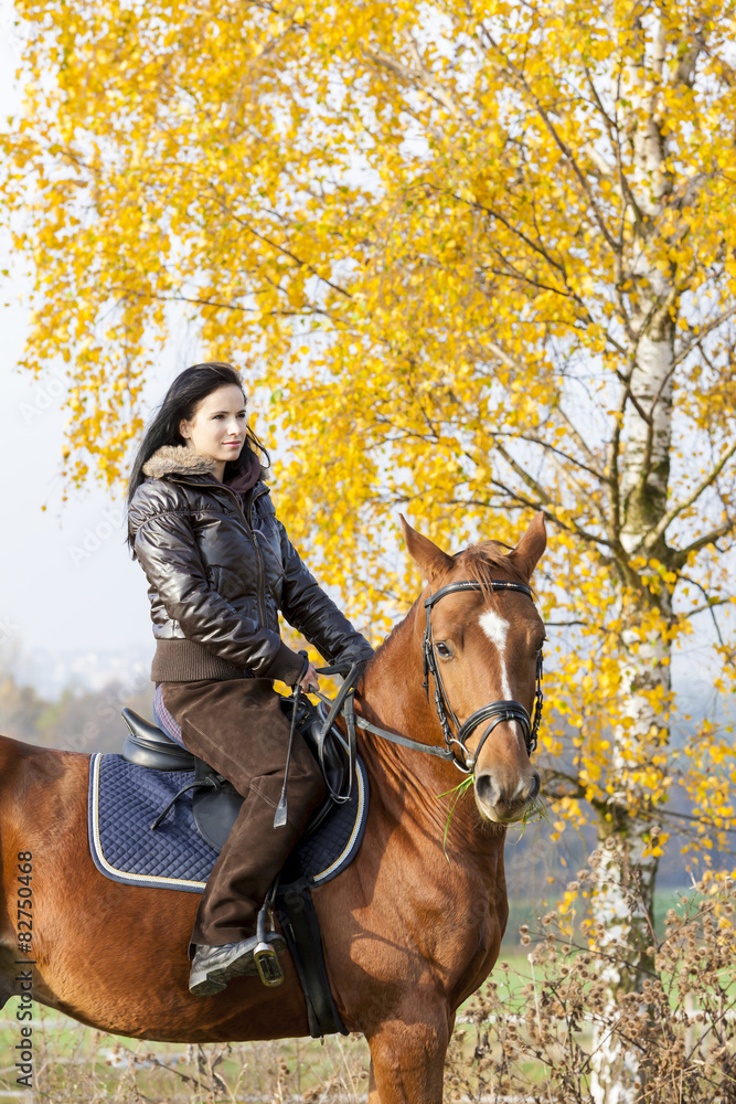 equestrian on horseback in autumnal nature equestrian on horseback in autumnal nature
