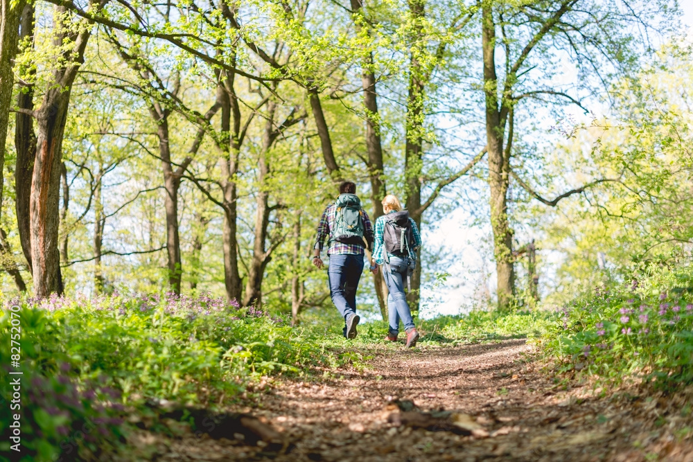 Hiking Couple