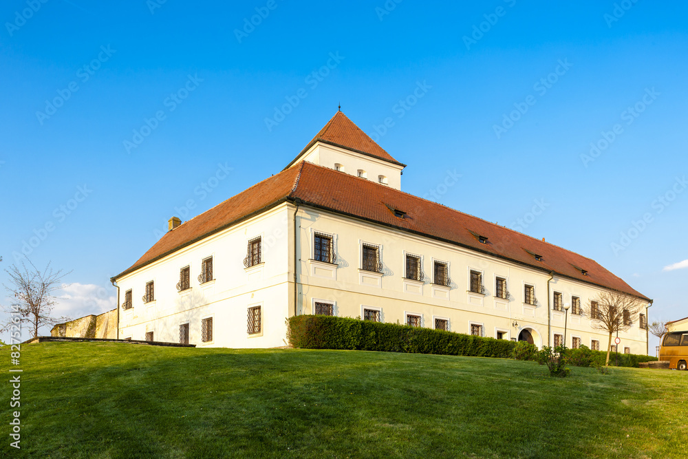 castle in Cejkovice, Czech Republic