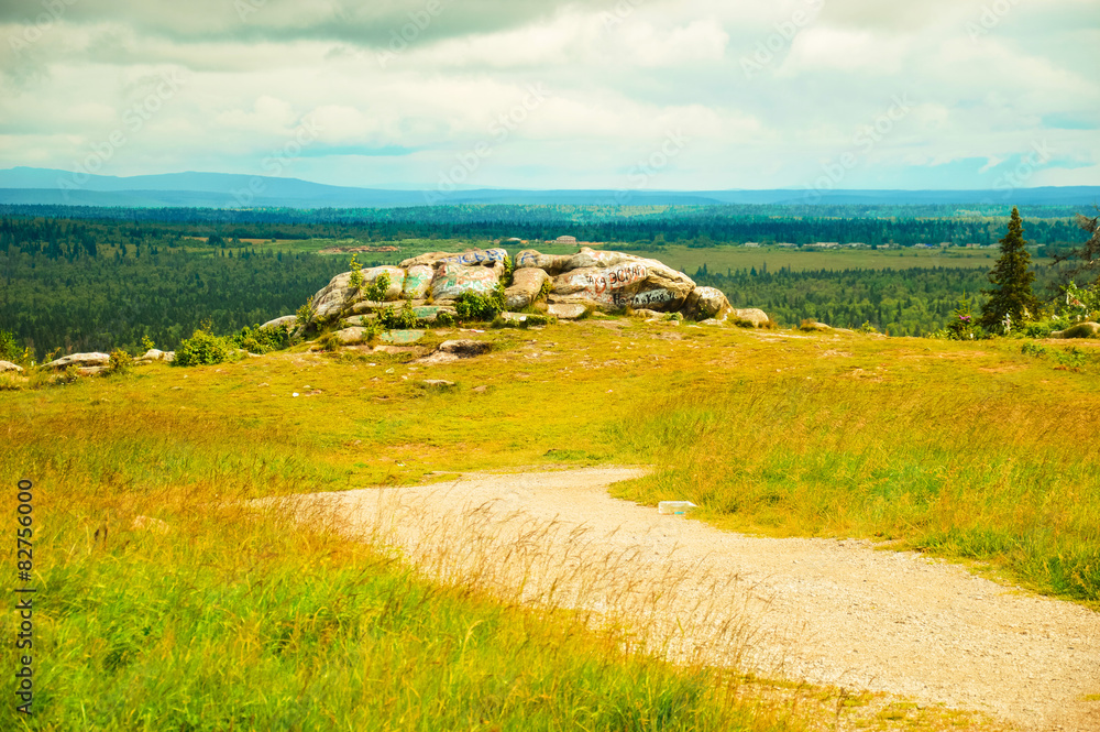 Obraz premium Пейзаж с камнем на фоне тайги