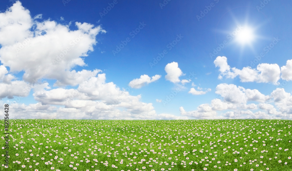 Green field and blue sky Green field and blue sky