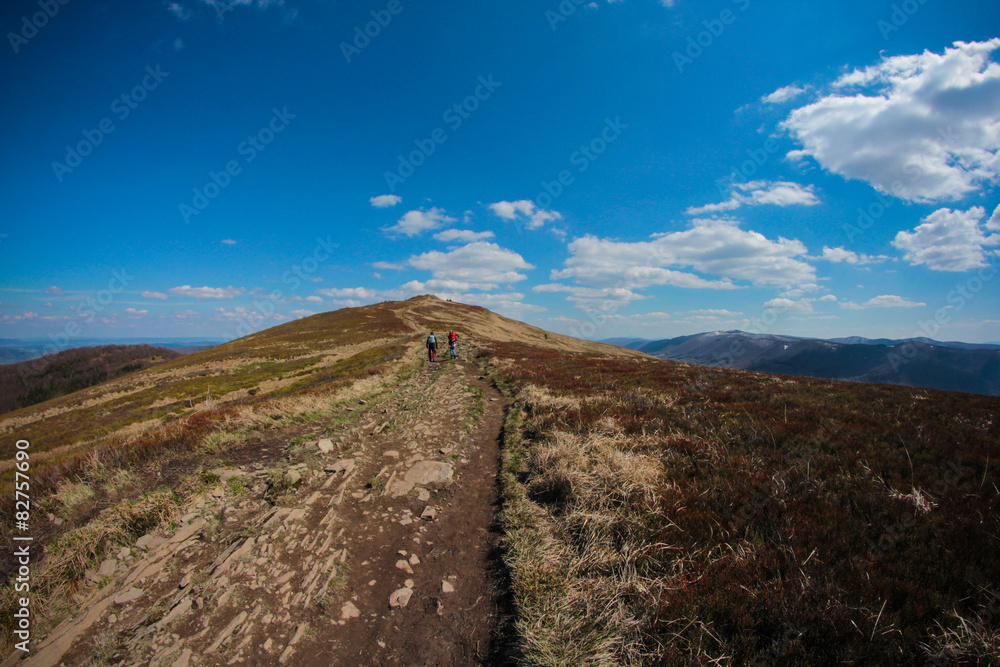 Fototapeta premium Bieszczady