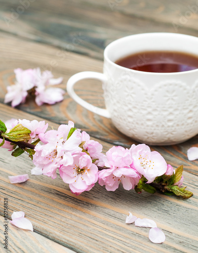 Cup of tea and sakura blossom