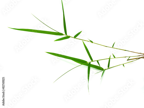 bamboo leaves isolated on white background © noppharat