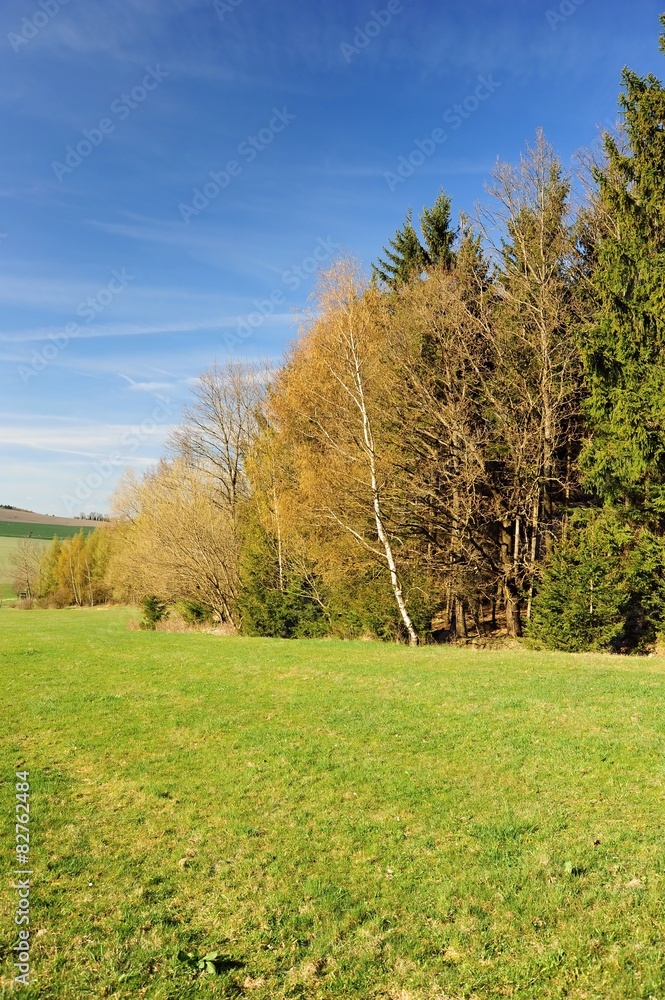 Obraz premium Beautiful spring landscape