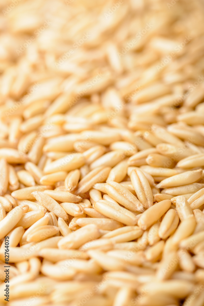 close up of oats