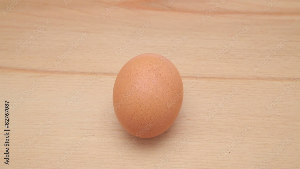 Chicken egg lay