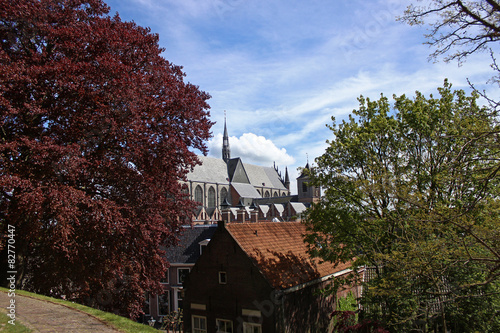 Vergezicht Leiden met Hooglandse Kerk photo