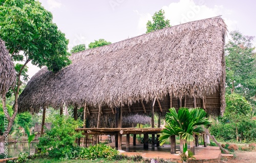 paleolithic thatched huts