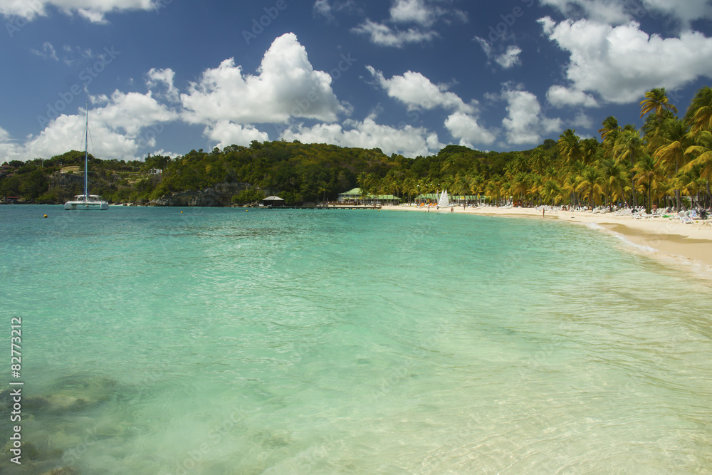 Obraz premium La Caravelle Beach, Guadeloupe, Caribbean