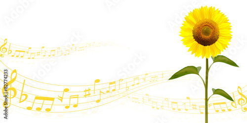 ひまわり　音符　背景