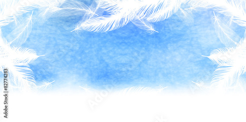 羽　空　背景
