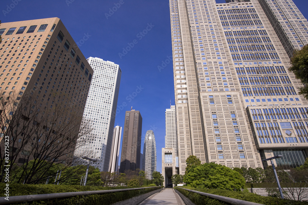 Obraz premium 東京都庁と西口近代ビル