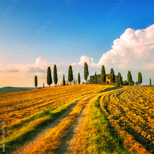 Tuscany, farmland, cypress trees and white road on sunset. Siena
