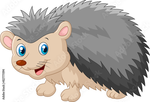 Hedgehog was looking to the side