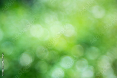 Natural green blurred background.