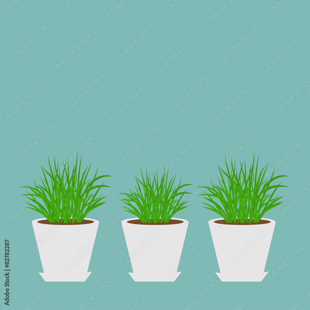 Obraz premium Three pots with growing grass Icon set Blue Flat 