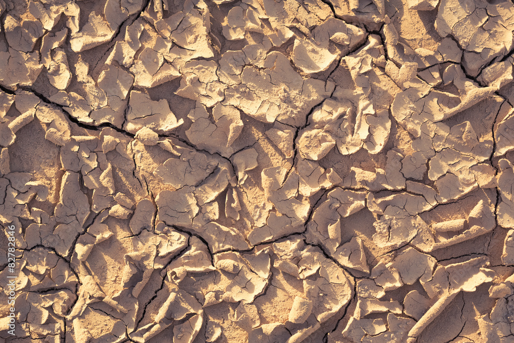 background of dried background of dried