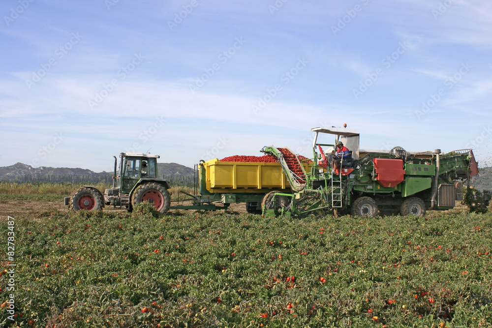 Obraz premium Engins de récolte