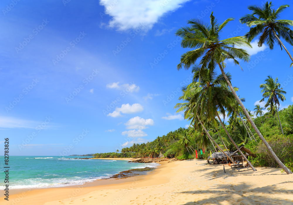 beautiful tropical beach landscape