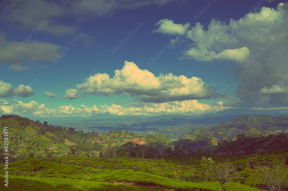 mountain landscape in Sri Lanka - vintage retro style