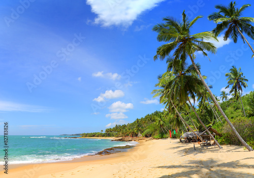 beautiful tropical beach landscape