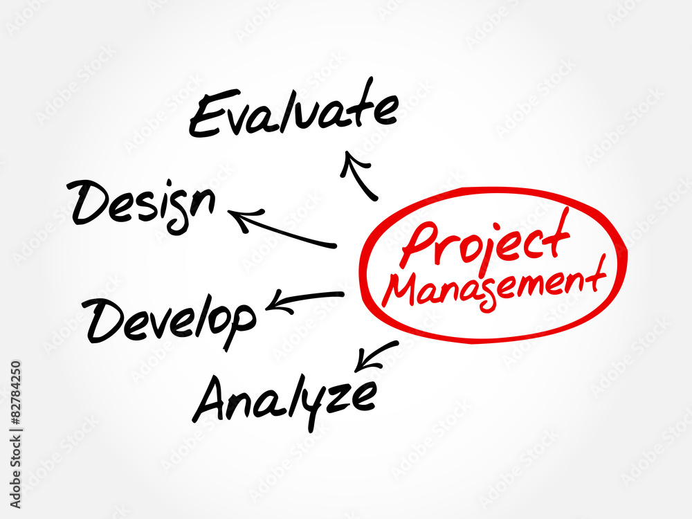 Fototapeta premium Project Management business product development mind map concept