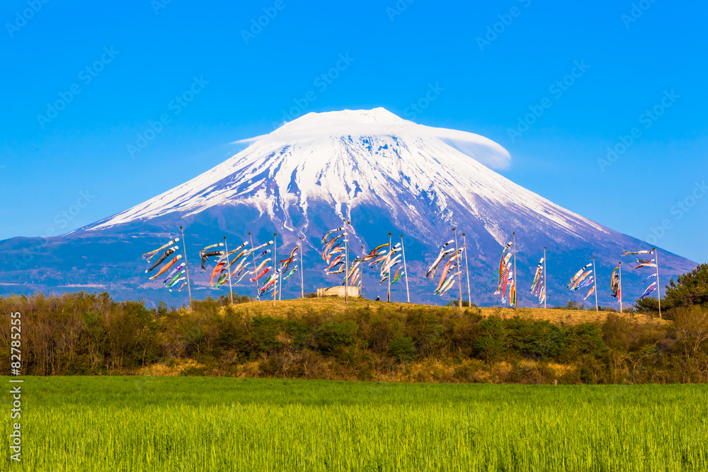 Colorful carp banners and Mount Fuji 
