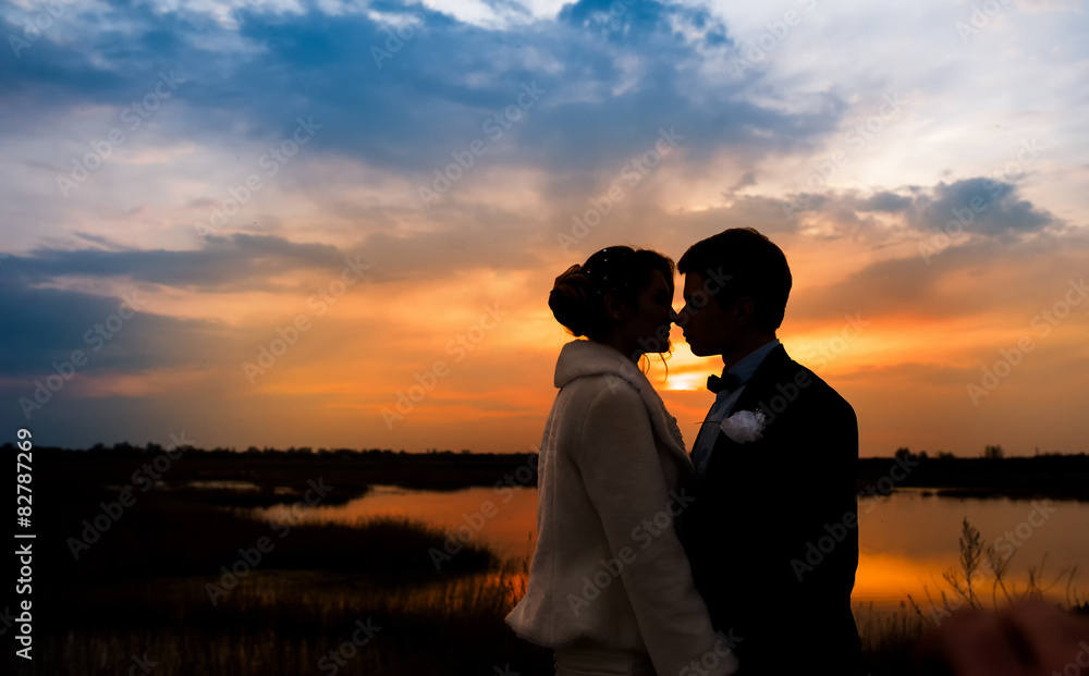 silhouettes of the bride and groom on the background of the sett