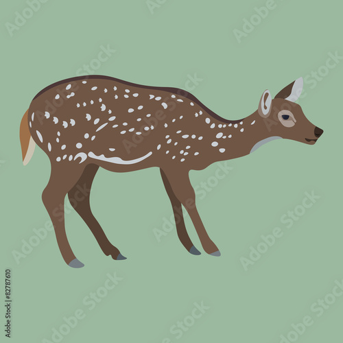 Female deer on green