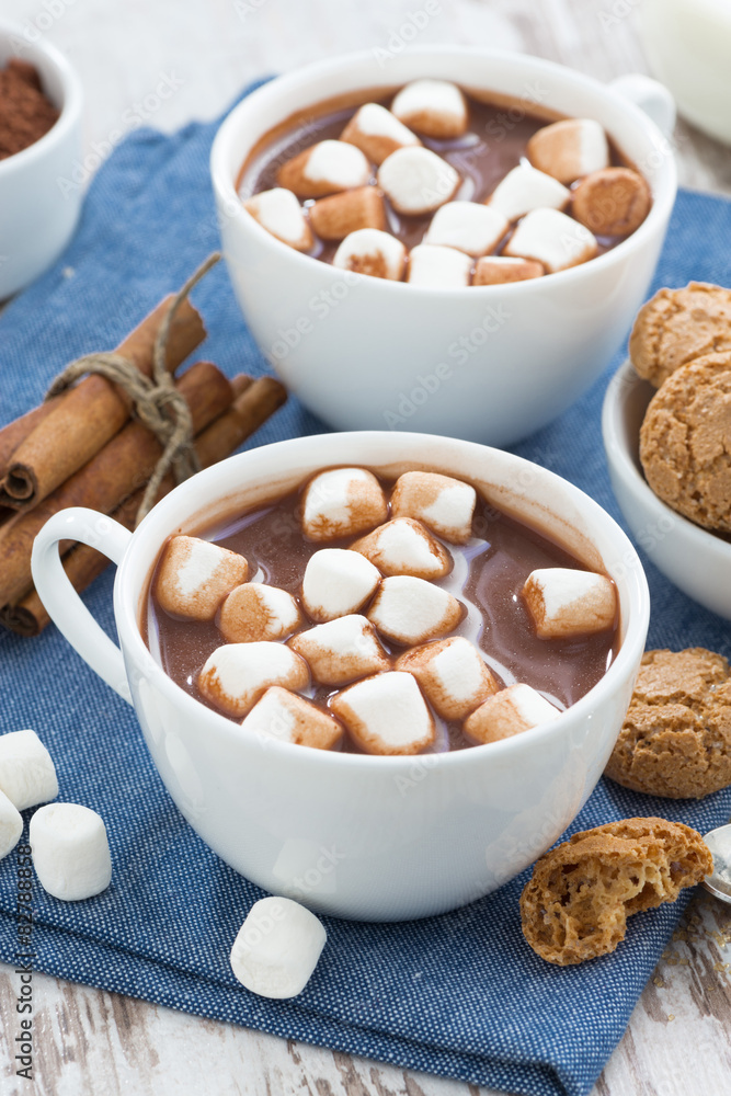cup of cocoa with marshmallows, vertical cup of cocoa with marshmallows, vertical